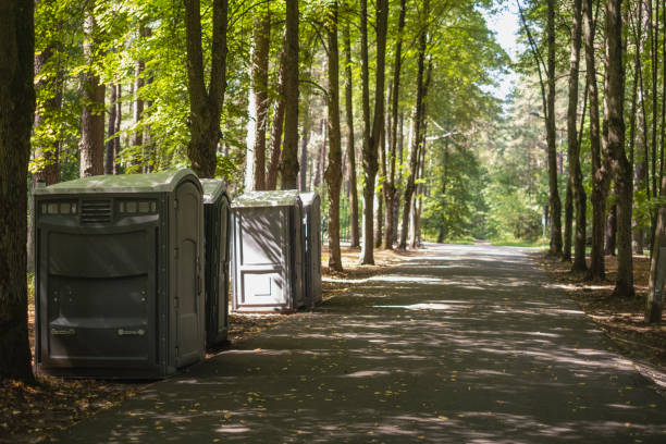 Best Portable bathroom rental  in Blue Mound, IL